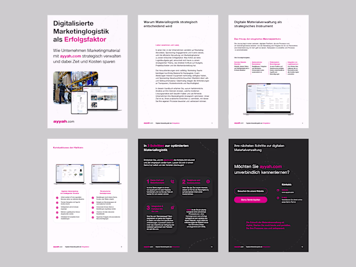 B2B Logistics Whitepaper | Technical Layout Created a polish...