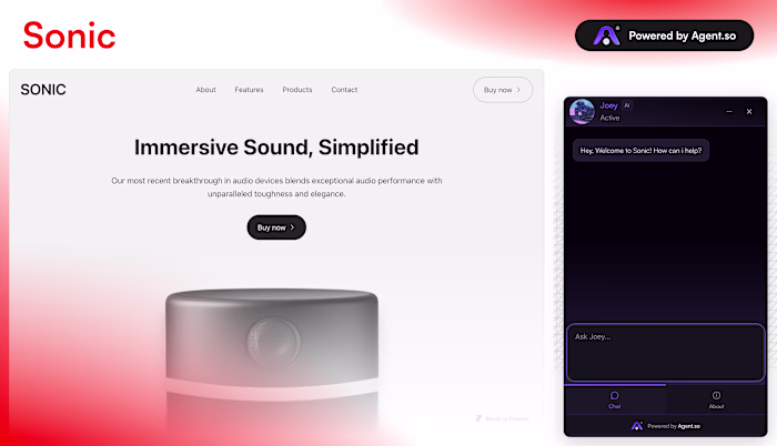 AI Assistant Development for Sonic