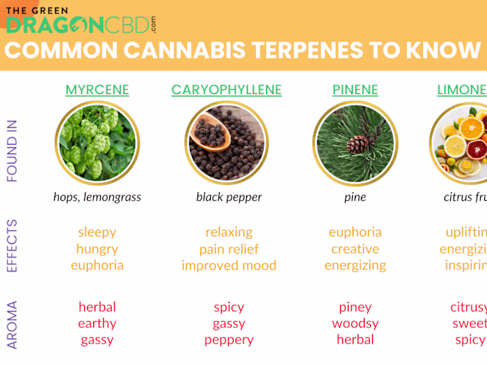 Terpene Masterlist