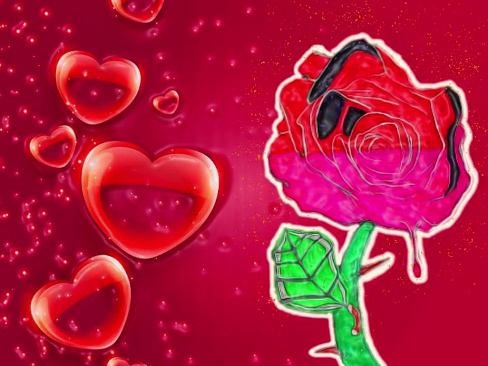Valentine's Day Special 