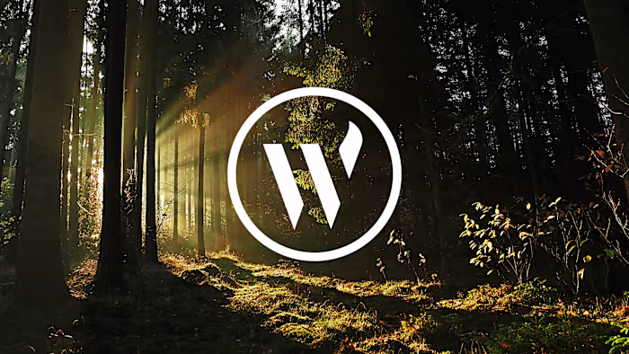 Woodland Stove Centre - Brand Identity