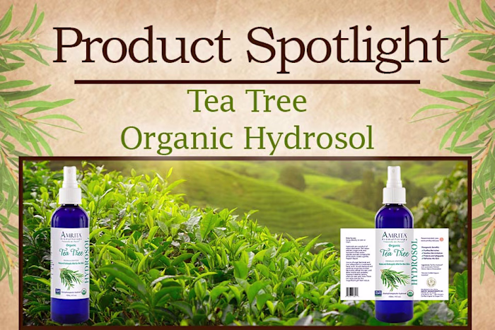 Launch of Tea Tree Hydrosol by Amrita Aromatherapy