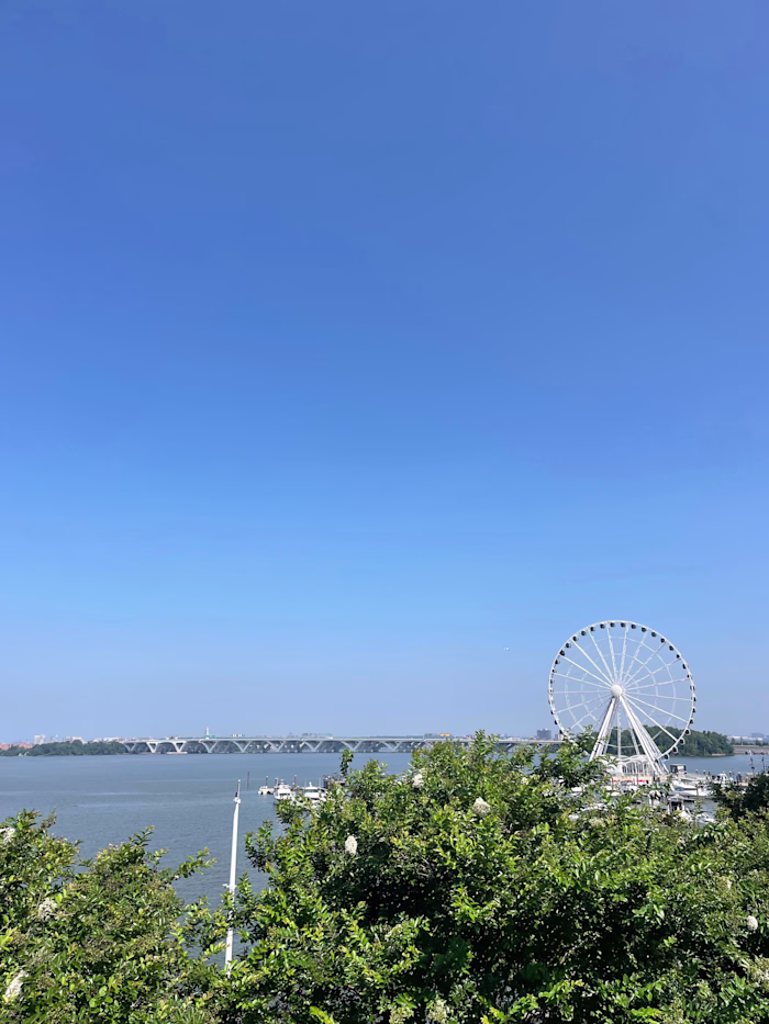 Embracing Growth Beyond Comfort