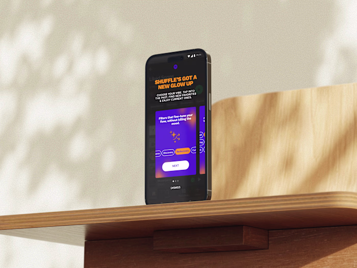 Smart Shuffle Filters for Spotify