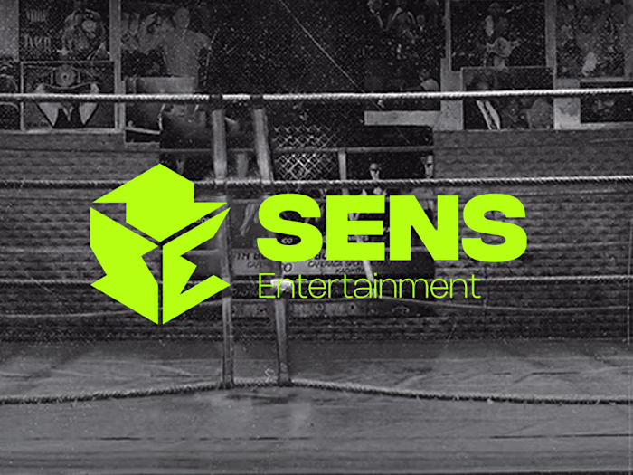 SENS Entertainment