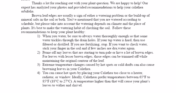  Care Guide for PlantIN