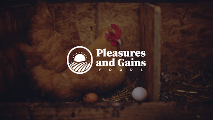 Pleasures and Gains Foods
