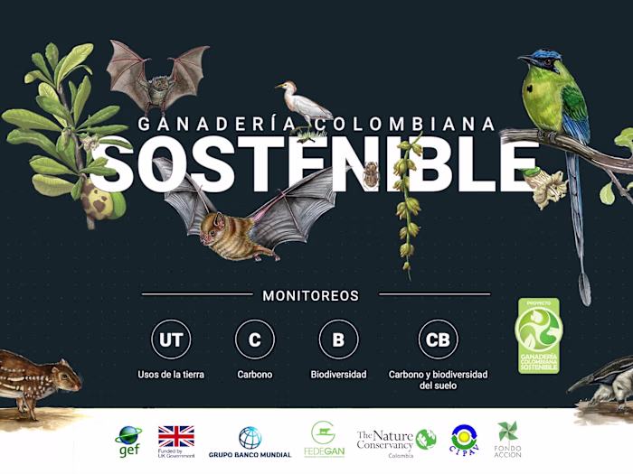Ganadería Colombiana Sostenible (2018 - 2020)