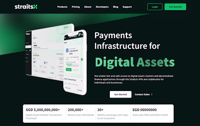 StraitsX Landing Page – Fintech UX for Stablecoin