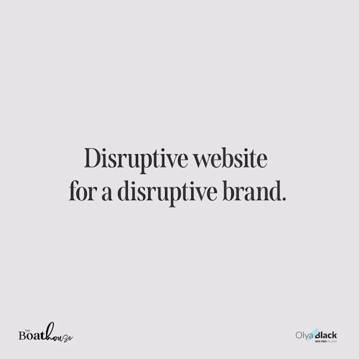 Olya Black | Wix Pro Studio on Instagram: “Our first website cr…