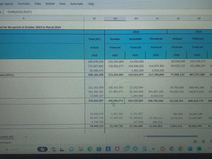 Budgeting and Forecast