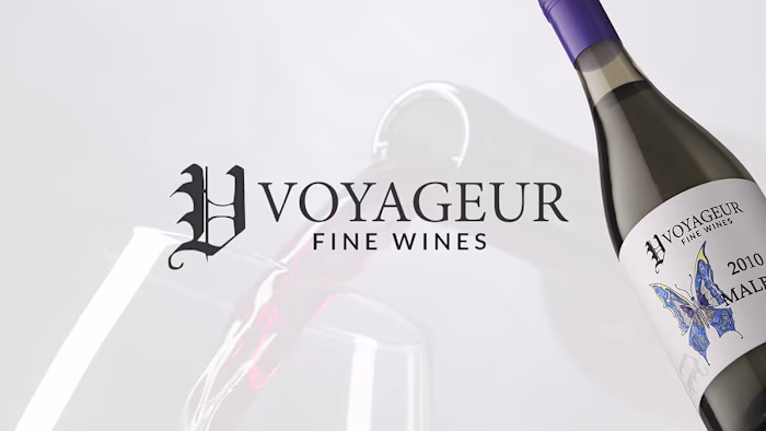 Voyaguer Website