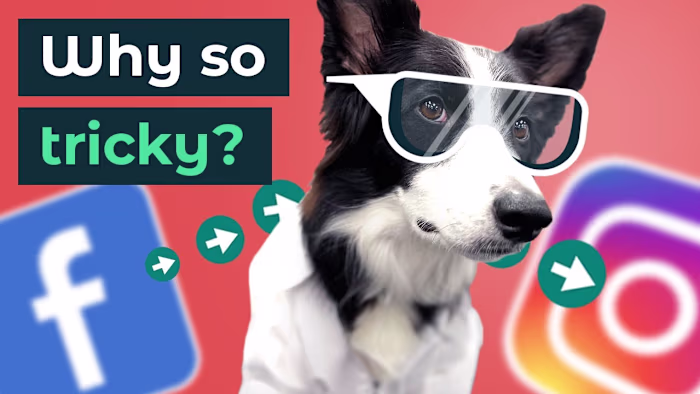 How to link Instagram to Facebook in 2024 (and Facebook to Inst…