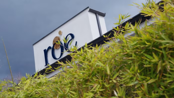 Roe Fusion | Japanese Curry