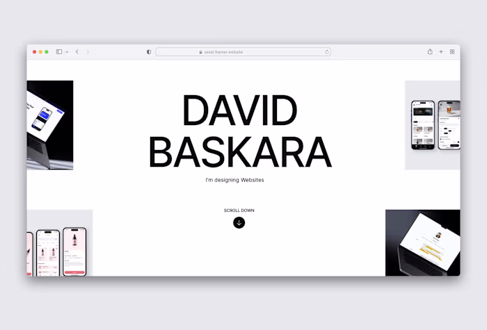 Vexel: Minimal Portfolio Template Development
