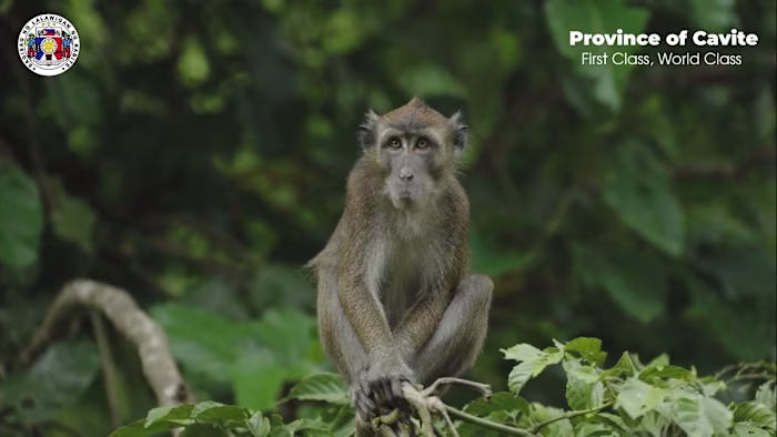 CAVITE TOURISM VIDEO - YouTube