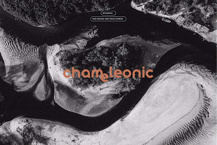 Chameleonic | Branding & Web Design