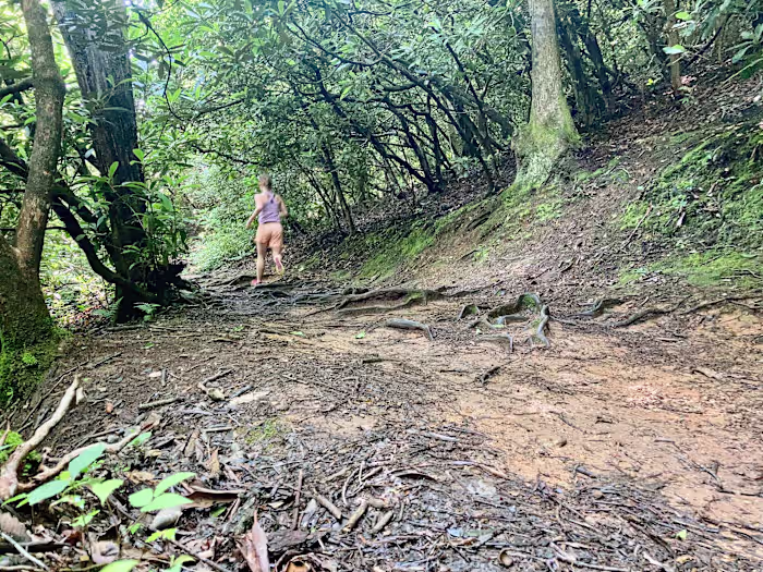 Trail Towns: Townsend, Tennessee