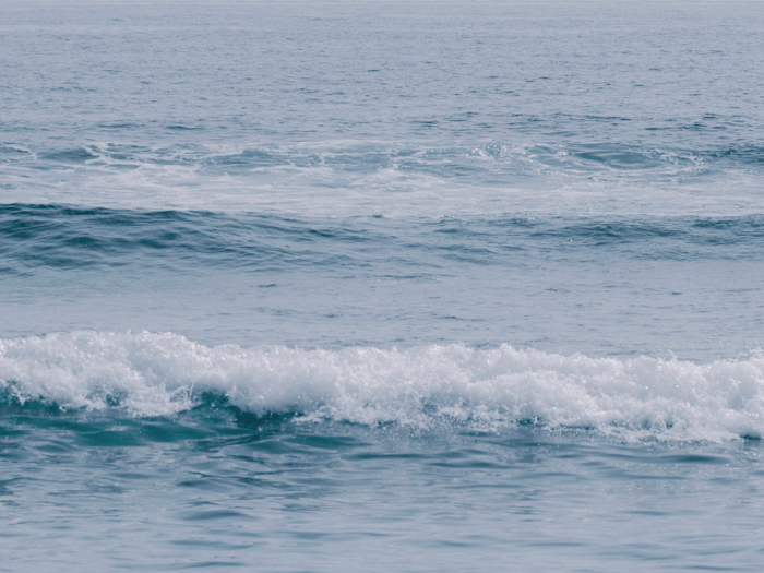 Branding | Logo & Brand Identity