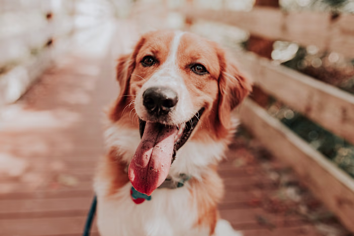 UGC Content for Misc. Brands