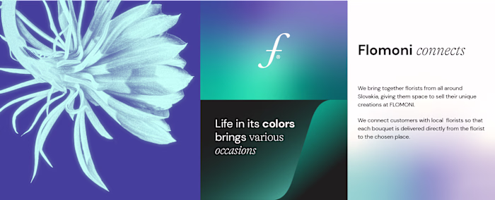 FLOMONI - Visual Identity