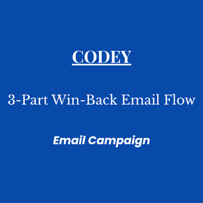 Codey: Win-Back Email Flow