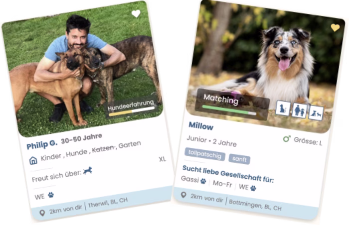 fairDogs Dog-Sharing and Personality Testing Platform