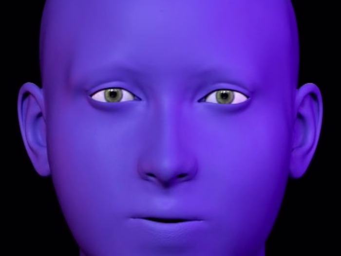 "The Face"