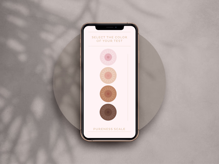 Rivela | Product Design