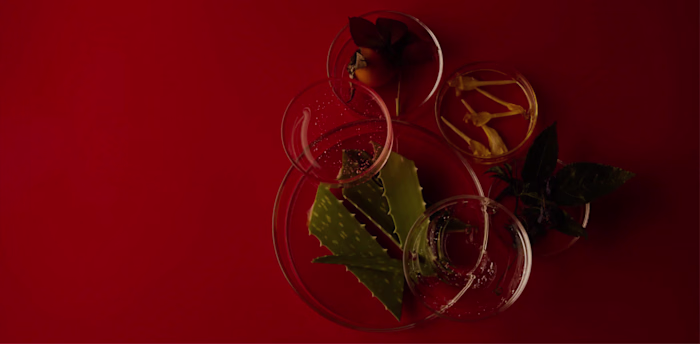 Mienne E-commerce Development