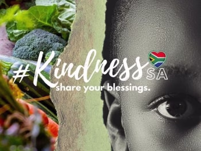 Social Media Manager and content creator