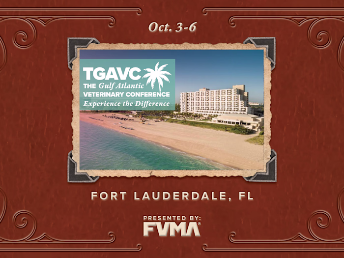 Jessica Keatting - Event Branding: The Gulf Atlantic Veterinary…