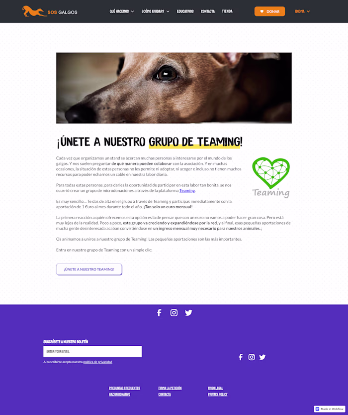 SOS Galgos Website