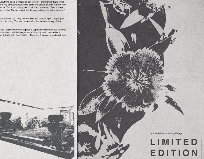 Limited Edition : A zine