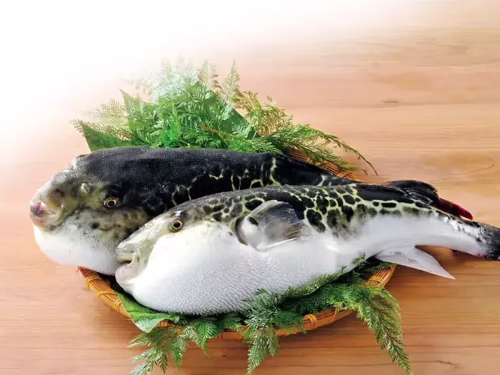 Guenpin restaurant - Interview Short