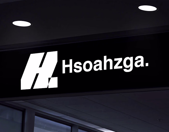 Hsoahzga: Brand Identity