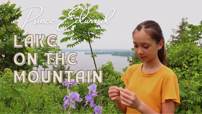 Prince Edward County Tourism Board