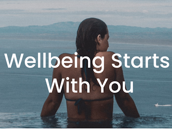 UX Writing - Pura Vida Veterinary Wellness