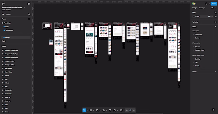 Robotsuiss Website Design I just completed a client project ...