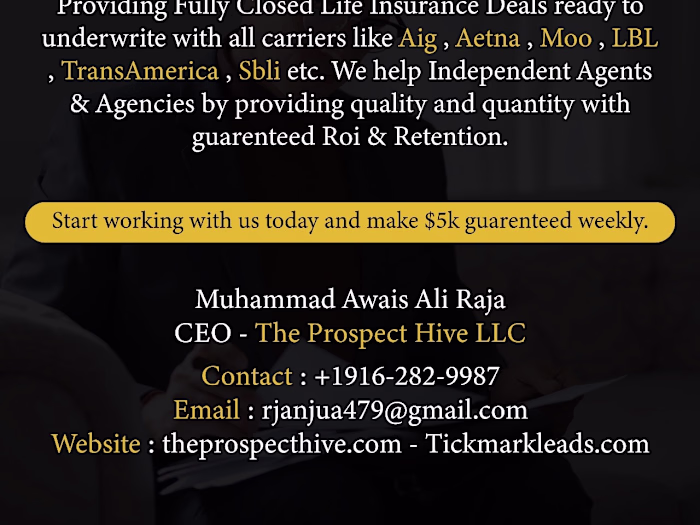 Take your business to heights with our professional Services