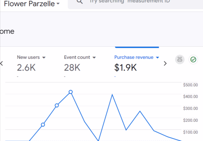 Early-Stage Campaign Success: 6X ROAS Achieved from Day One