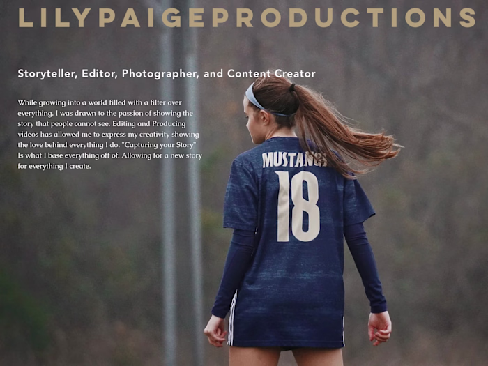 Online Portfolio 