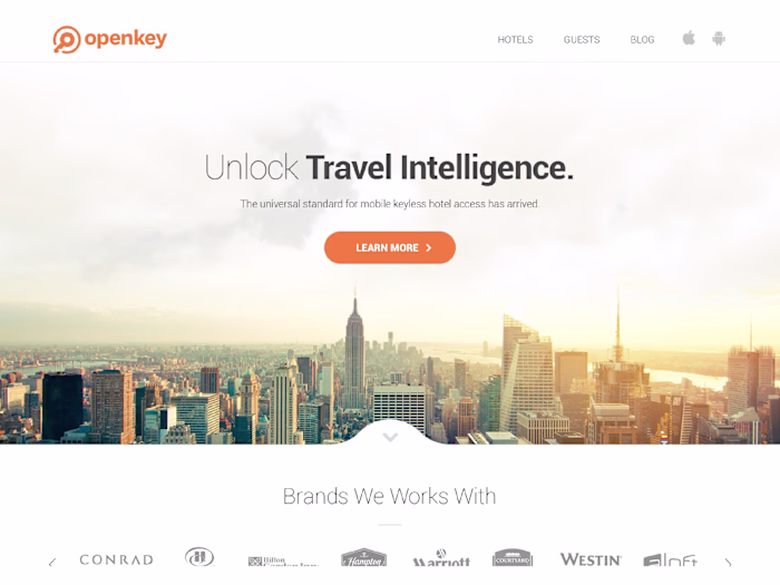 Web Design - UI/UX & Development