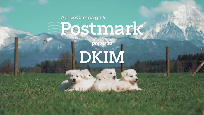 What is DKIM? It's a thing. And look! Puppies!