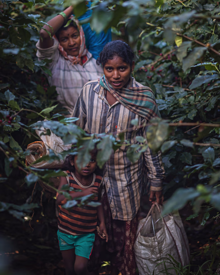 Kokoro Coffee Project