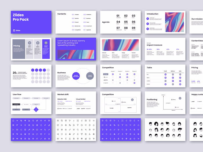 Zlides Pro Pack