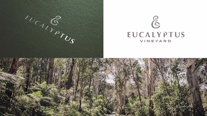 Eucalyptus Vineyard