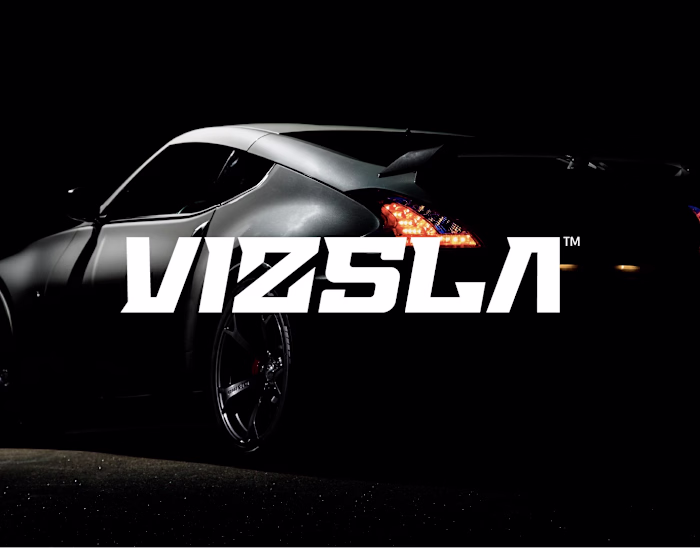 VIZSLA | Brand Identity