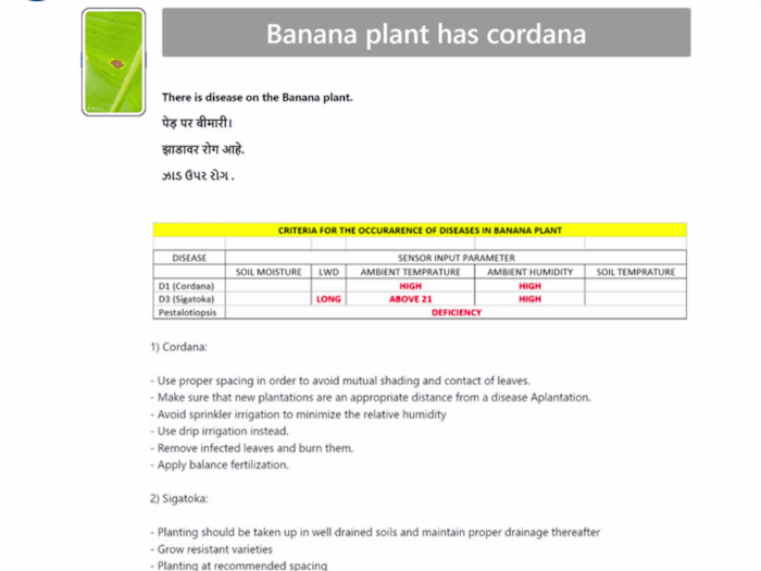 Detecting Disease in Plant using ANN and CNN models in Python