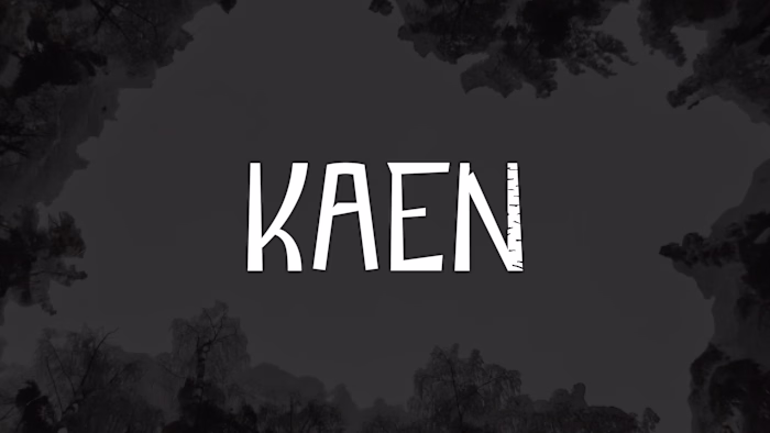 Branding Identity for Kaen